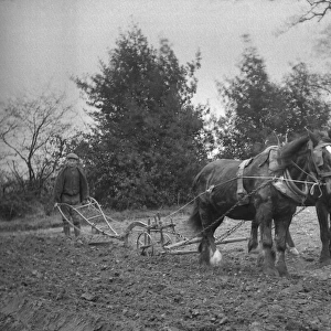Man ploughing with two horses