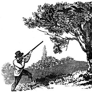 Man shooting at two birds in a tree, c. 1800