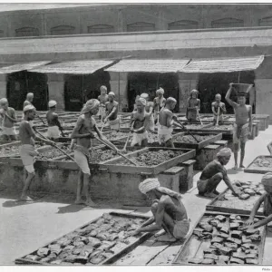 Manufacture of Opium in India Manufacture of Opium in India