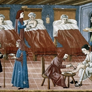 Manuscript Gaddiano (circa 1542). Doctors and