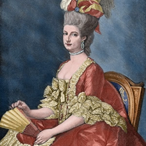 Maria Christina, Duchess of Teschen (1742-1798), called Mim