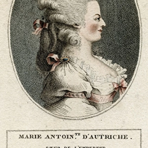 Marie Antoinette / Profile