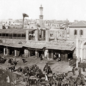 Market at Jaffa, Palestine (Israel) circa 1880s