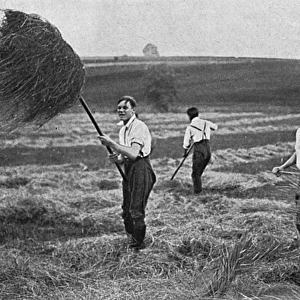 Marlborough College boys making hay, WW1