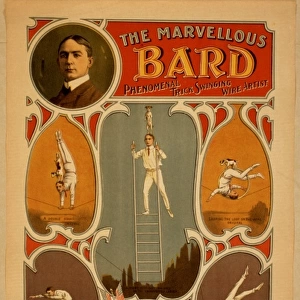 The marvellous Bard, phenomenal trick swinging wire artist