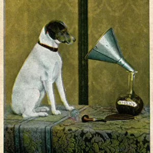 His Masters Voice / V-ice, England