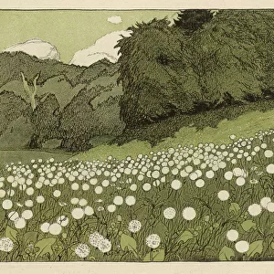 Meadow in Summer 1904