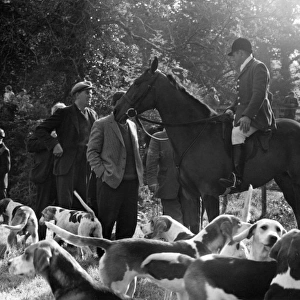 Meet of the Devon and Somerset hounds