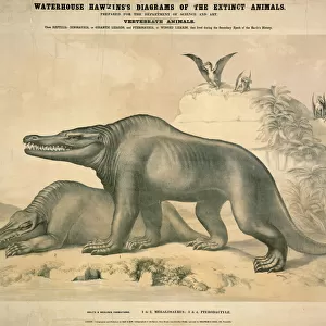 Megalosaurus and Pterodactyle