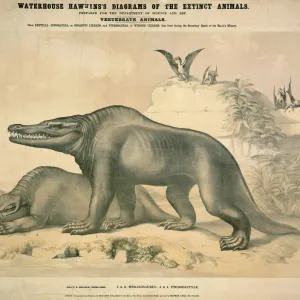 Megalosaurus and Pterodactyle