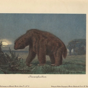 Megatherium americanum or Great Beast, genus
