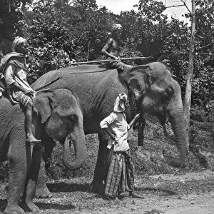 Men and elephants on the Kandy road, Sri Lanka