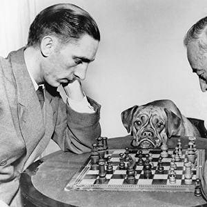 Two men playing chess, watched by a boxer dog