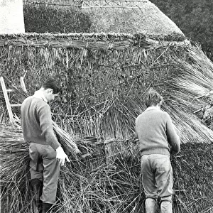 Two men thatching a roof, Lamorna Cove, Cornwall