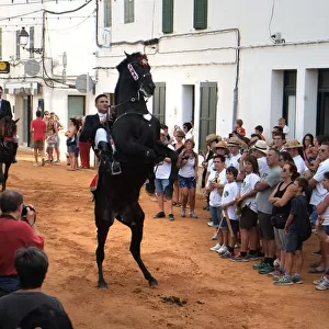 Menorcan horses in the fiesta, or jaleo, Sant Lluis, Menorca