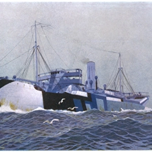 Merchant Ship Camouflage