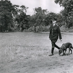 Metropolitan police dog handler with a dog in a field