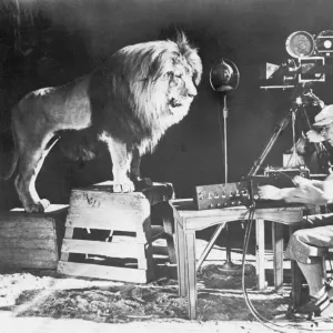 MGM LION