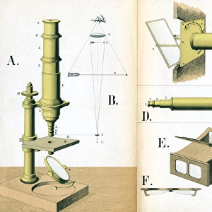 Microscope 1882