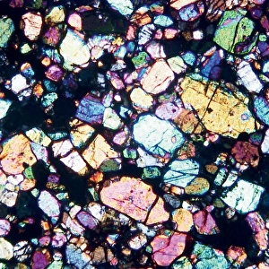 Microscope image of the Brachina meteorite