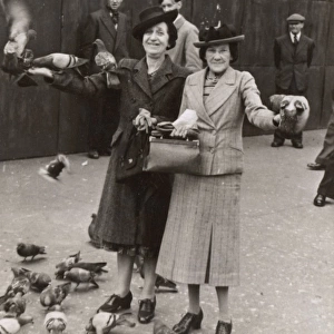 Two middle-aged women with pigeons