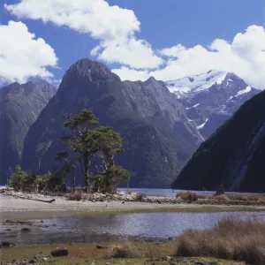 Milford Sound, South Island, New Zealand