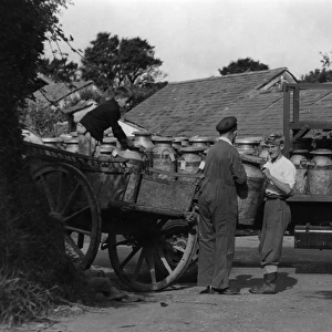 Milk Industry 1950S