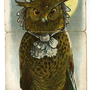 Misfitz - Mother Owl