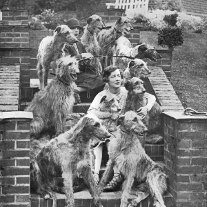 Miss Richmond and her deerhounds