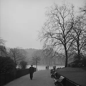 Misty morning, St Jamess Park, London