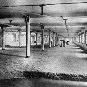 Mitchells and Butlers Brewery Malting Floor