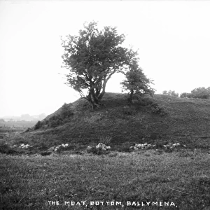 The Moat, Bottom, Ballymena