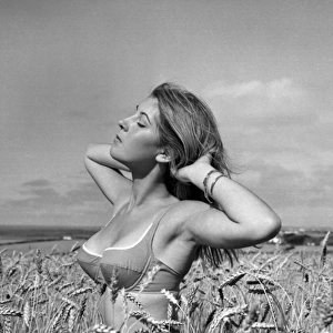 Model in a cornfield