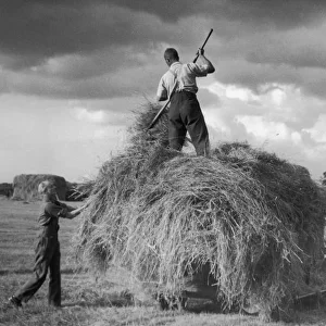 Modern Haymaking / 1950