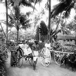 Modes of transport, Ceylon (Sri Lanka)