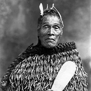 Mohi, Maori Chief, New Zealand