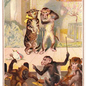 Monkey and cat duet on a Christmas card