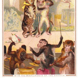 Monkey and cat duet on a Christmas card