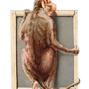Monkey holding a slate on a cutout Christmas card