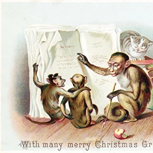 Three monkeys and a cat on a Christmas card