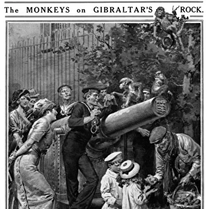 The Monkeys on Gibraltars Rock by Matania