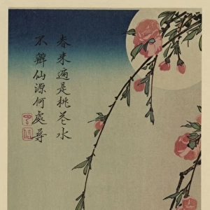 Moon, swallows, and peach blossoms