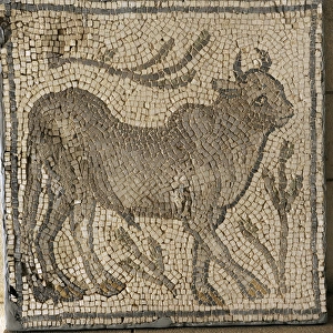 Mosaic. Beit Guvrin. Byzantine period, 4th century CE. Bull