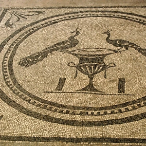 Mosaic depicting two peacocks on a vase
