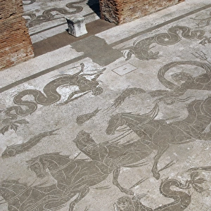 Mosaic of Neptunes Triumph at the Baths of Neptune. Ostia A