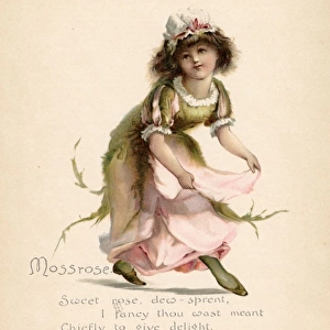 Mossrose / Language of Flowers