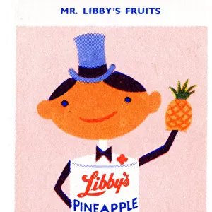 Mr Libbys Fruits - Pineapple