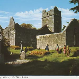 Muckross Abbey, Killarney, County Kerry