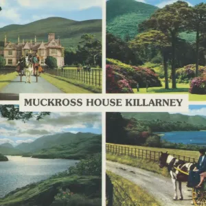 Muckross House Killarney, Multi-View