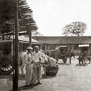 Mule carts, China, circa 1880s
